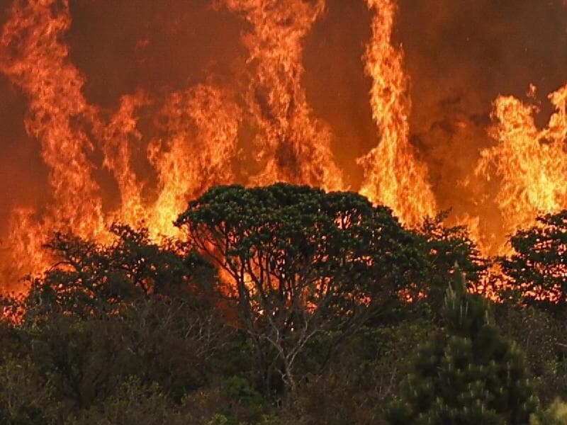 Câmara pauta aumento de pena para incêndios florestais