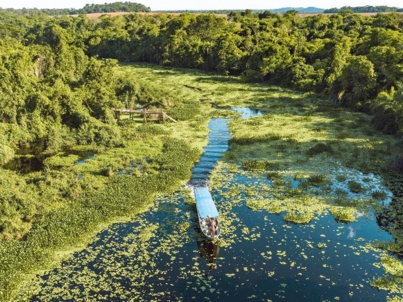 Pantanal Sul-Mato-Grossense pode ser reconhecido como patrimônio nacional. - Reprodução/Visita Pantanal