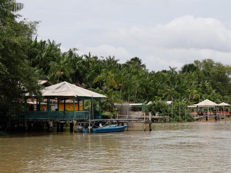 Autor de projeto defende que iniciativa pode fortalecer o alcance das metas da COP30 e fomentar o desenvolvimento da Amazônia. - Fernando Frazão/Agência Brasil