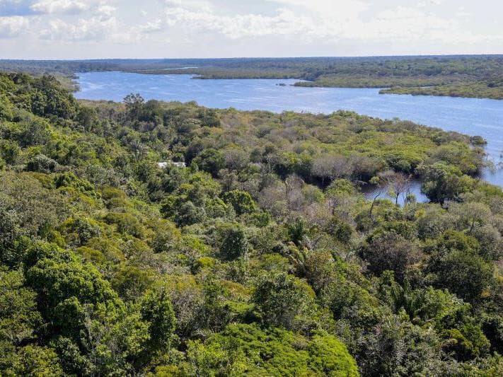 Vista aérea à beira do Rio Negro, no Amazonas - Fabio Rodrigues-Pozzebom/Agência Brasil