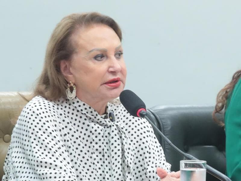Elcione Barbalho é também presidente da Frente Parlamentar para o Fortalecimento da COP30. - Bruno Spada / Câmara dos Deputados