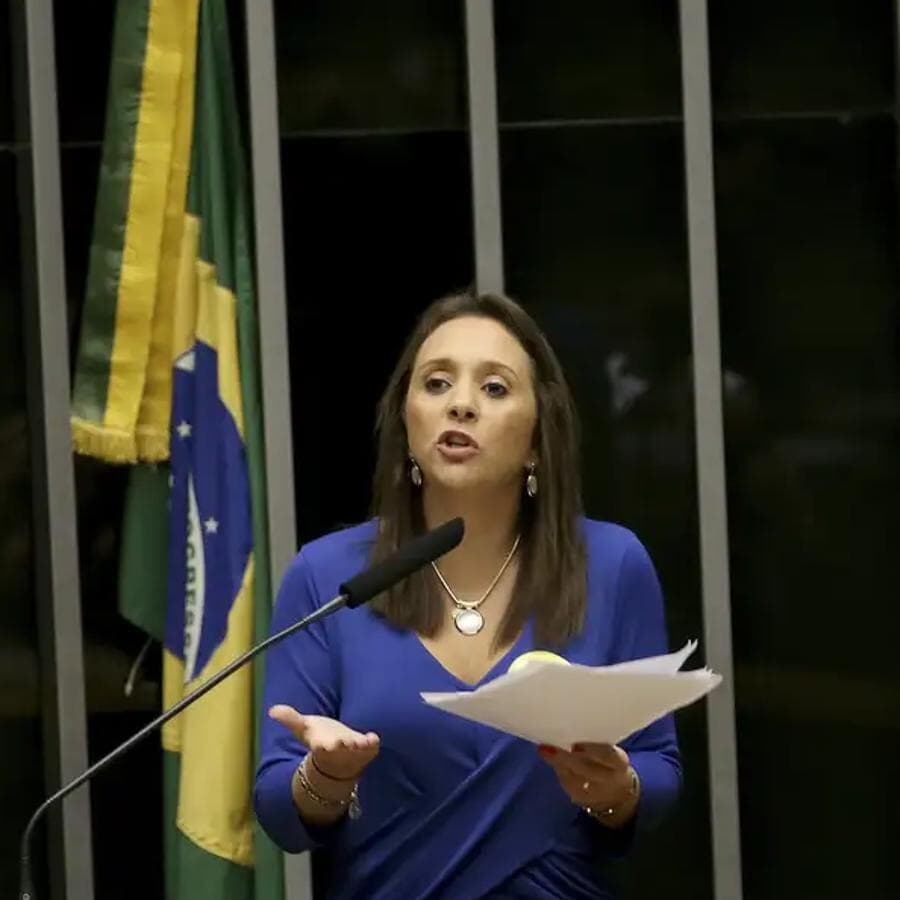 Renata Abreu (Podemos-SP) é autora do projeto - Wilson Dias/Agência Brasil