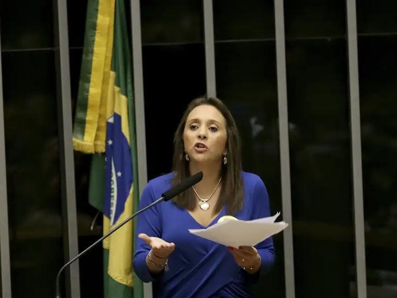 Renata Abreu (Podemos-SP) é autora do projeto - Wilson Dias/Agência Brasil