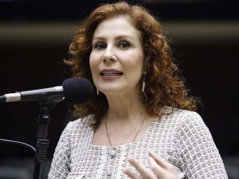 Zambelli é acusada de porte ilegal de arma e constrangimento ilegal com uso de arma de fogo. - Mário Agra/Câmara dos Deputados
