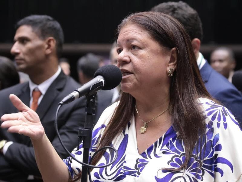 Proposta é de autoria da deputada Laura Carneiro (PSD-RJ) - Bruno Spada/Câmara dos Deputados