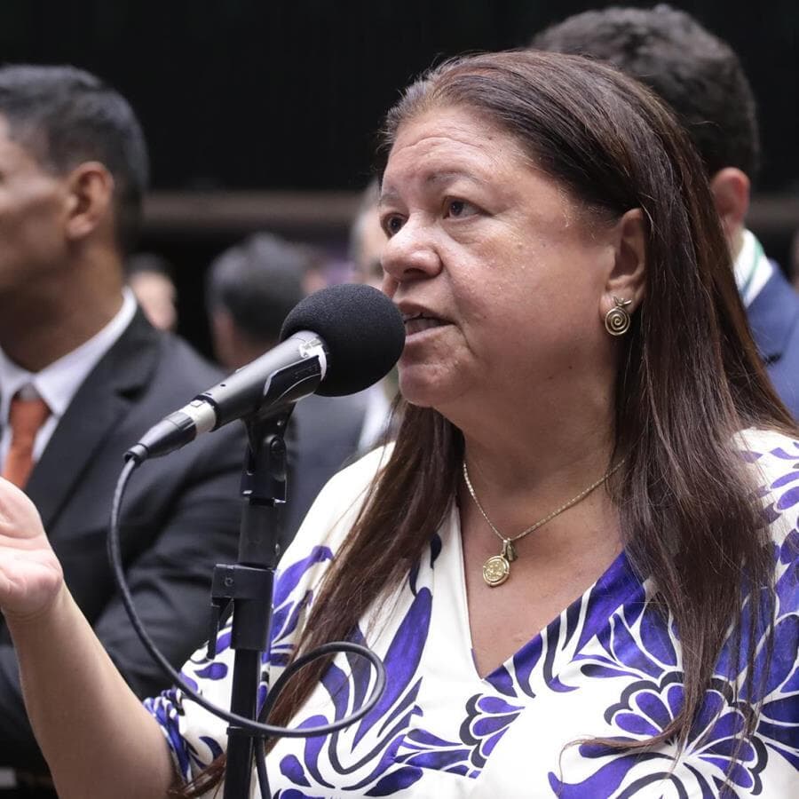 Proposta é de autoria da deputada Laura Carneiro (PSD-RJ) - Bruno Spada/Câmara dos Deputados