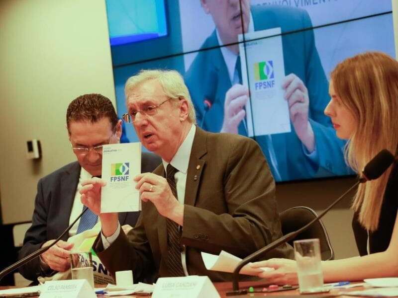 Parceria entre Congresso e agências de fomento avança com entregas em 2024 e propostas estratégicas para 2025. - ABDE/Divulgação