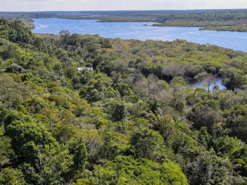 Comitê Gestor define prioridades para aplicar recursos do Fundo Clima em projetos sustentáveis e inclusão socioambiental  -  Fabio Rodrigues-Pozzebom/Agência Brasil