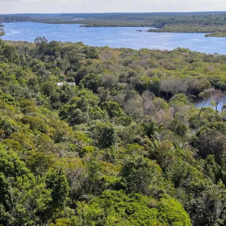 Comitê Gestor define prioridades para aplicar recursos do Fundo Clima em projetos sustentáveis e inclusão socioambiental  -  Fabio Rodrigues-Pozzebom/Agência Brasil