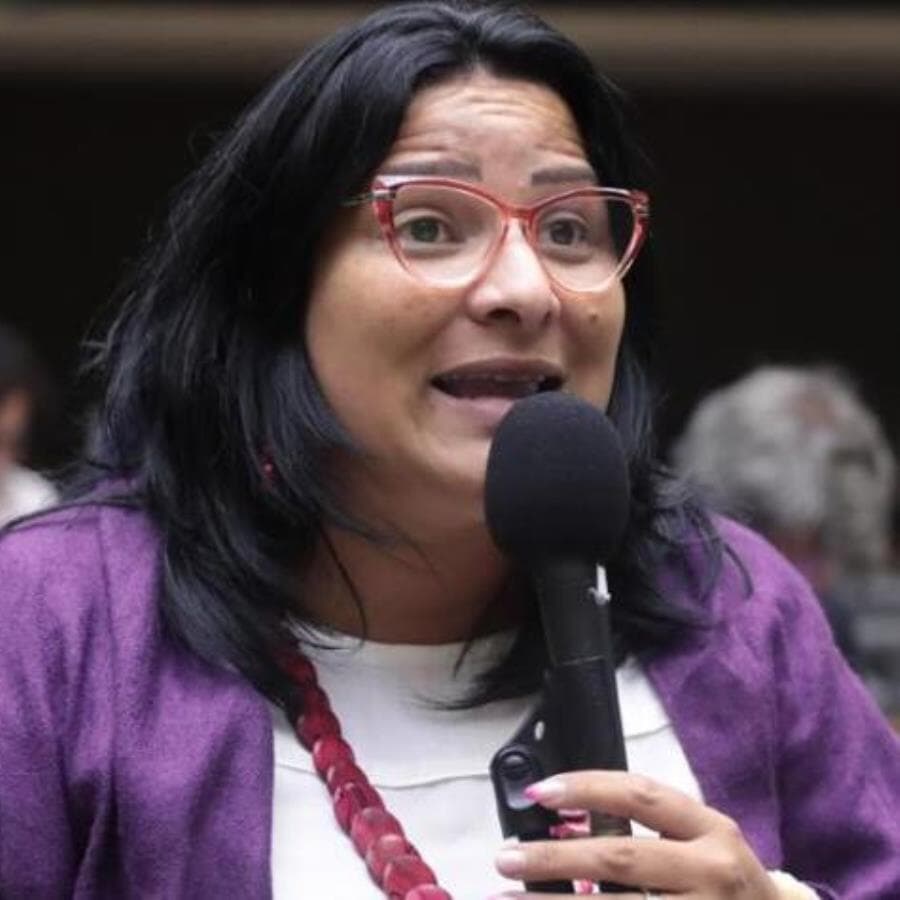 Juliana Cardoso nasceu na zona leste de São Paulo, em uma família de origem Terena - Bruno Spada/Agência Câmara