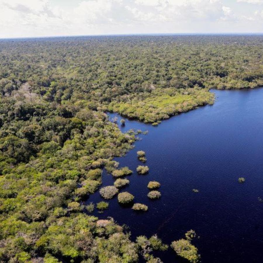 Vista aérea do Rio Negro, na Amazônia. - Fabio Rodrigues-Pozzebom/Agência Brasil