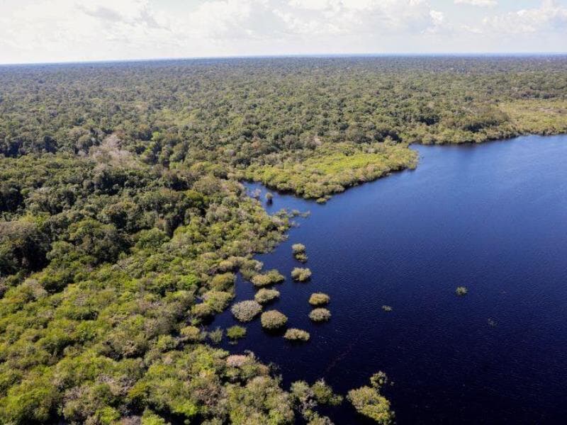 Vista aérea do Rio Negro, na Amazônia. - Fabio Rodrigues-Pozzebom/Agência Brasil