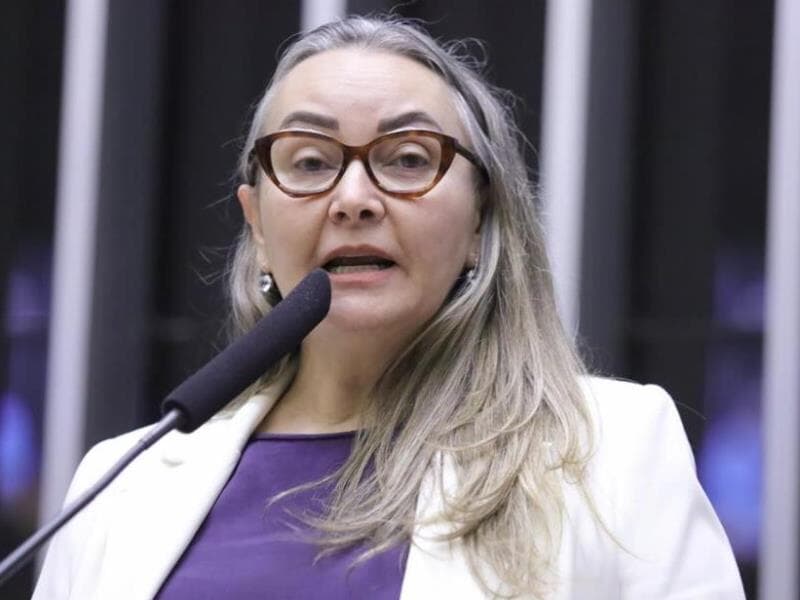 A deputada Daniela Reinehr (PL-SC) é a autora da proposta - Mario Agra/Câmara dos Deputados