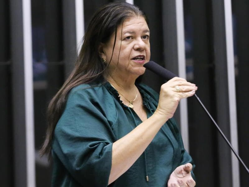 Laura Carneiro, autora da proposta. - Kayo Magalhães/Câmara dos Deputados