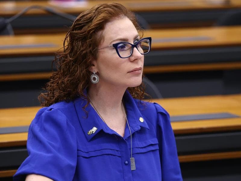 Carla Zambelli enfrenta maioria formada no STF pela sua condenação. - Vinicius Loures/Câmara dos Deputados