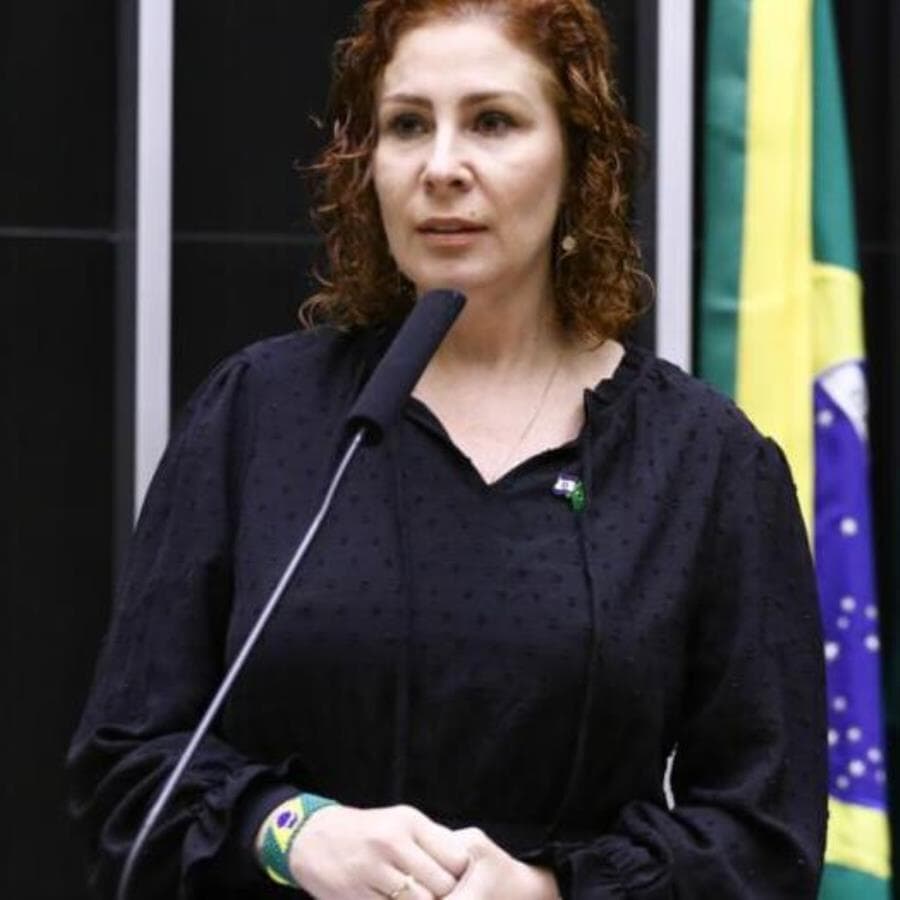 Deputada Carla Zambelli. - Vinicius Loures/Câmara dos Deputados