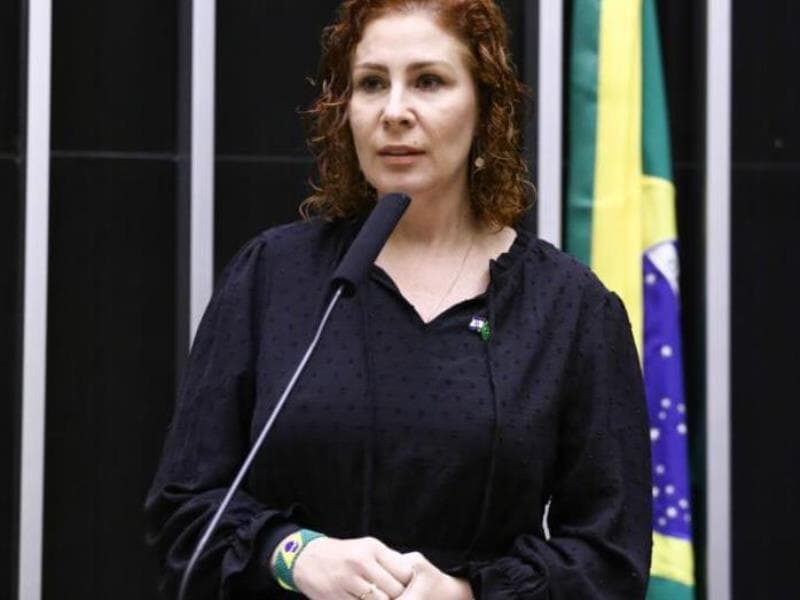Deputada Carla Zambelli. - Vinicius Loures/Câmara dos Deputados