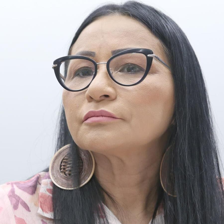 Silvia Waiãpi é uma das parlamentares que podem perder o mandato se a decisão do STF não for revista. - Elio Rizzo/Agência Câmara