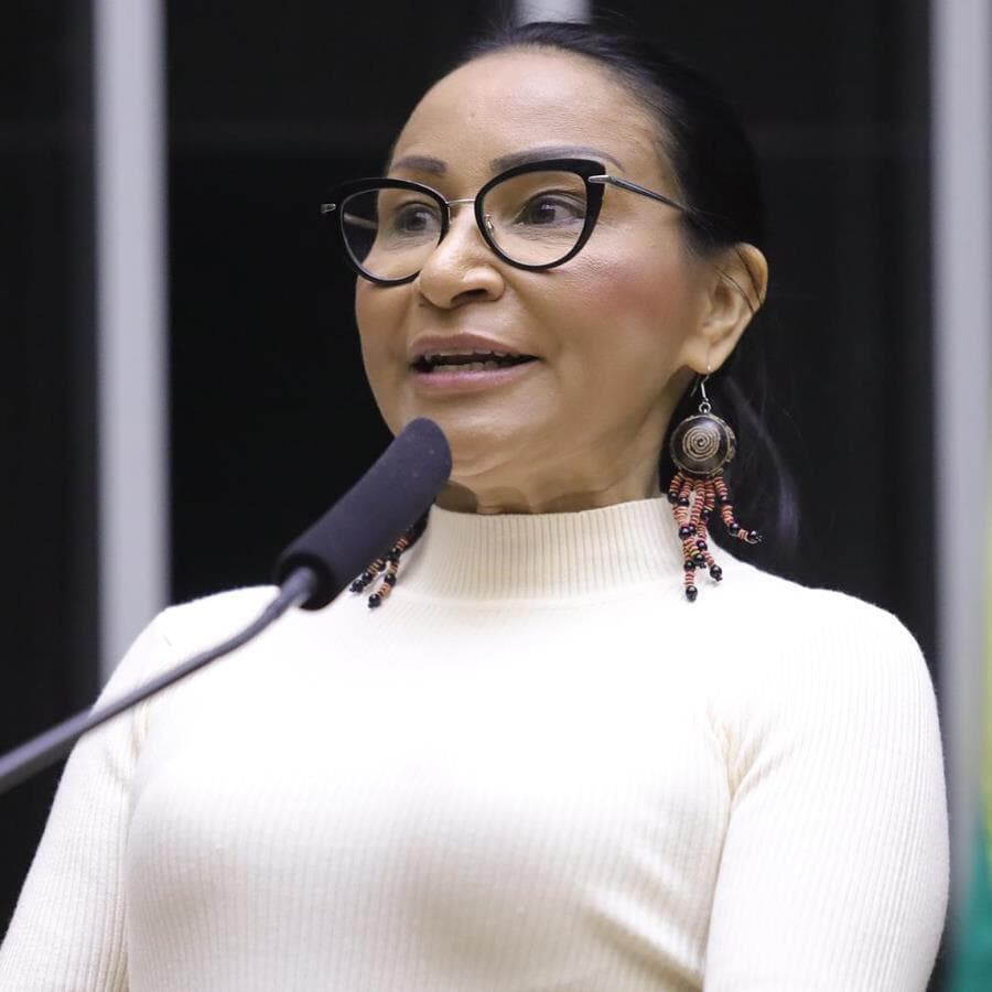 Silvia Waiãpi é a relatora do projeto. - Mário Agra/Câmara dos Deputados