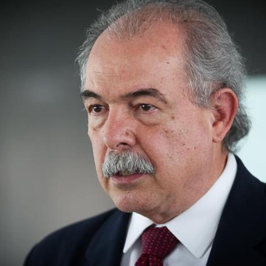 Aloizio Mercadante, presidente do BNDES - Agência Brasil/EBC