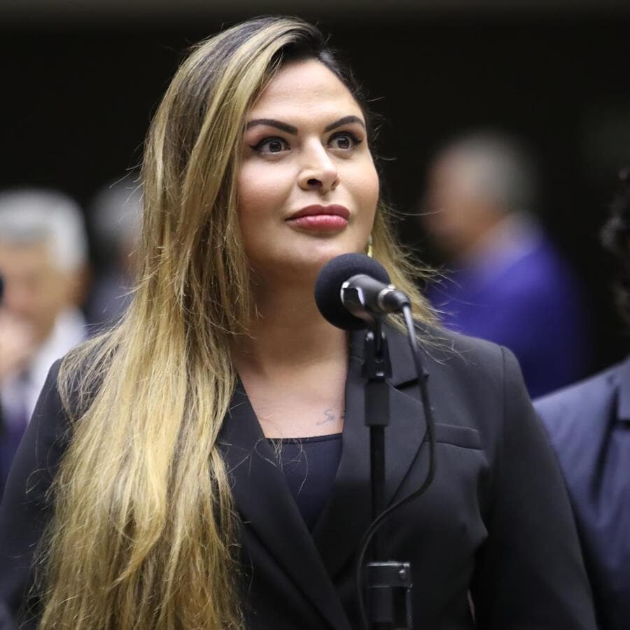 Silvye Alves: punições atuais são insuficientes para conter pichadores. - Zeca Ribeiro/Câmara dos Deputados