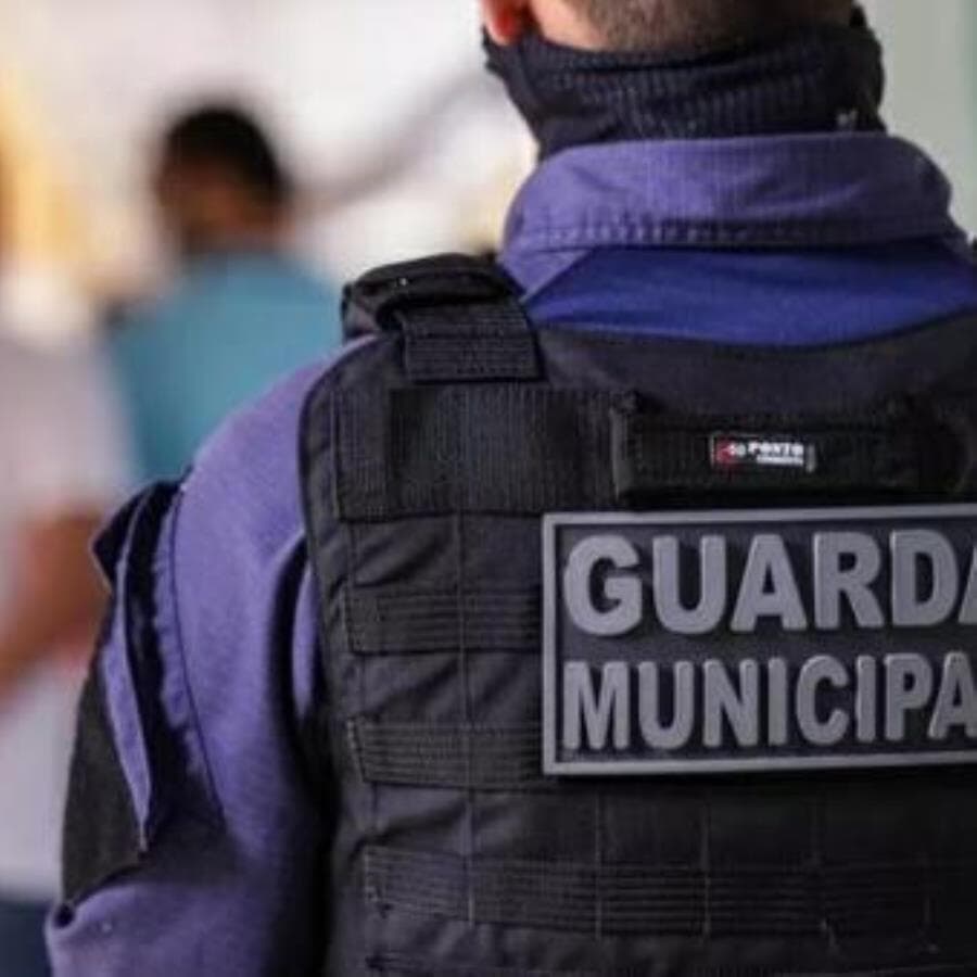 Guarda municipal. - Divulgação/PMT