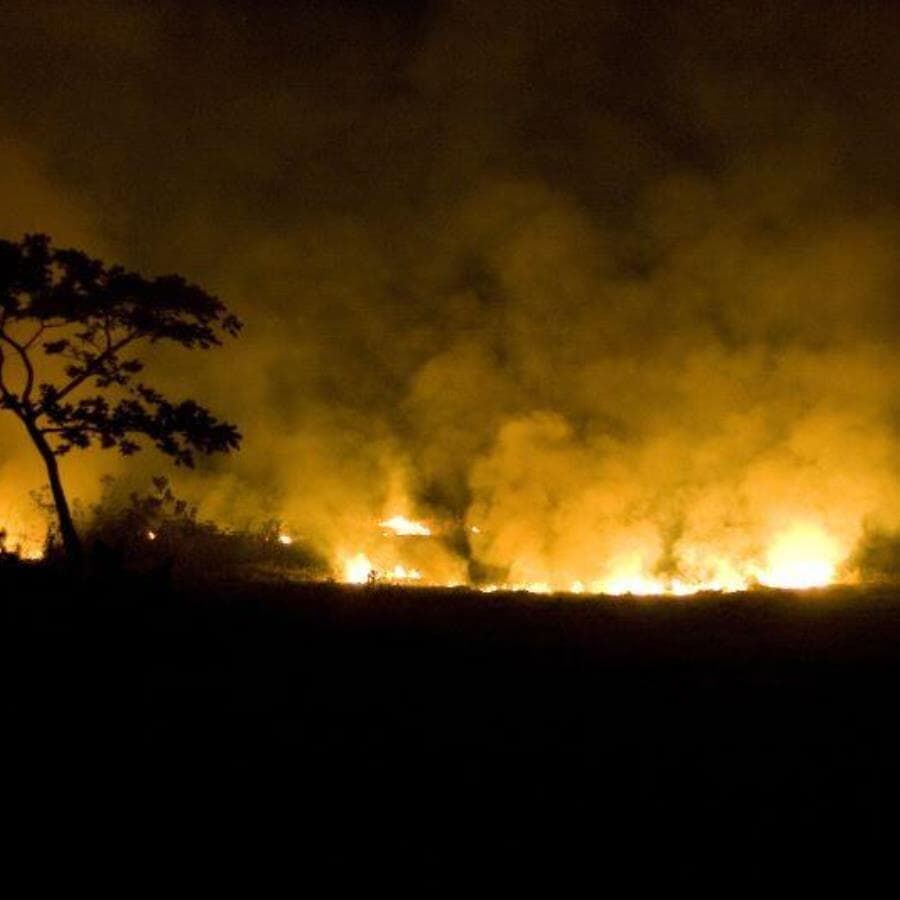 Lei autoriza repasses diretos do Fundo Nacional de Meio Ambiente a estados, municípios e ao Distrito Federal. - André Porto/Folhapress