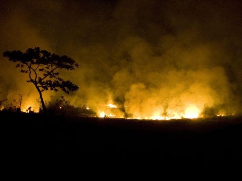 Lei autoriza repasses diretos do Fundo Nacional de Meio Ambiente a estados, municípios e ao Distrito Federal. - André Porto/Folhapress