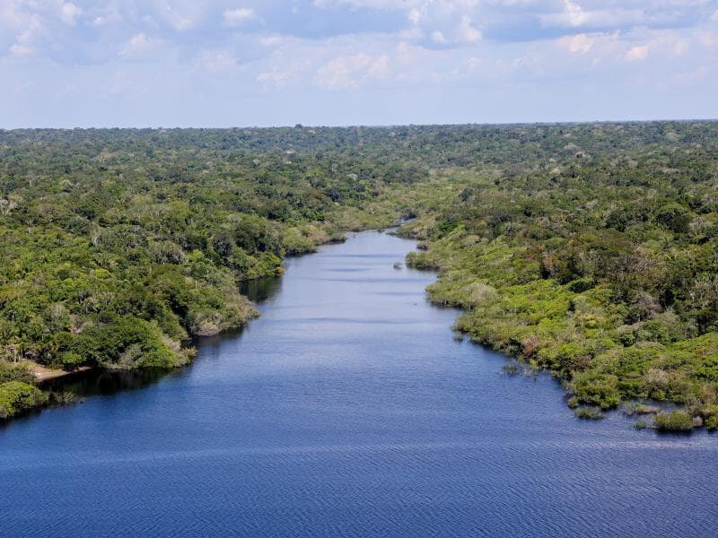 Proposta prevê atuação do Centro de Biotecnologia da Amazônia e participação de comunidades locais. - Fabio Rodrigues-Pozzebom/Agência Brasil