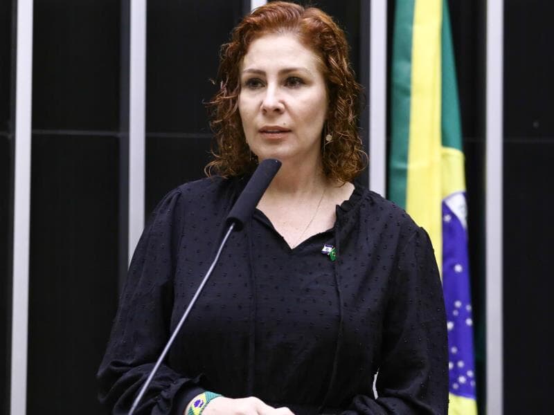 Carla Zambelli. - Vinicius Loures/Câmara dos Deputados