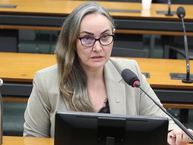 A deputada Daniela Reinehr (PL-SC) é a relatora do projeto de lei. - Vinicius Loures/Câmara dos Deputados