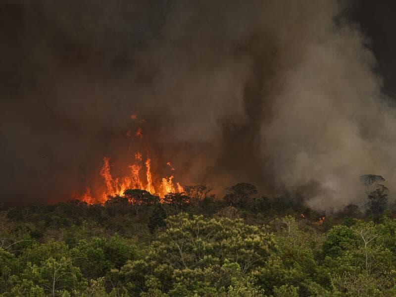 Projeto inclui punição a empresas e pessoas que causarem destruição irreversível da natureza. - Marcelo Camargo/Agência Brasil