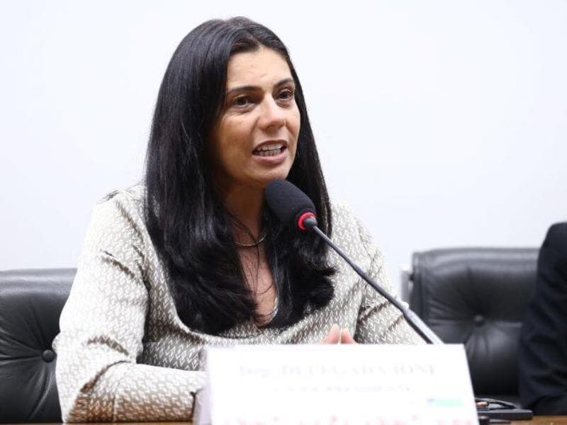 Audiência foi marcada por iniciativa da deputada Delegada Ione (Avante-MG). - Vinicius Loures/Câmara dos Deputados