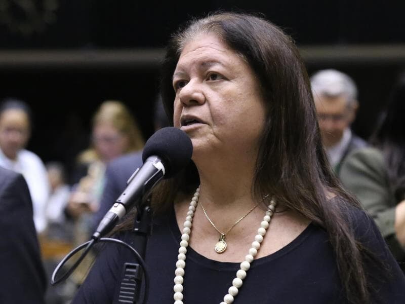 Dep. Laura Carneiro (PSD-RJ). - Kayo Magalhães/Câmara dos Deputados