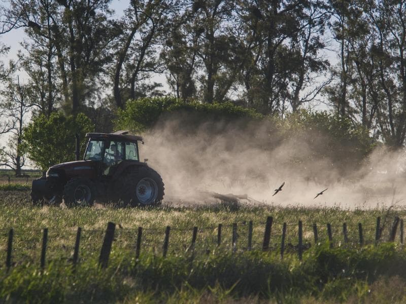 Taxação de Trump impacta setor do petróleo e o agro brasileiro. - Freepik