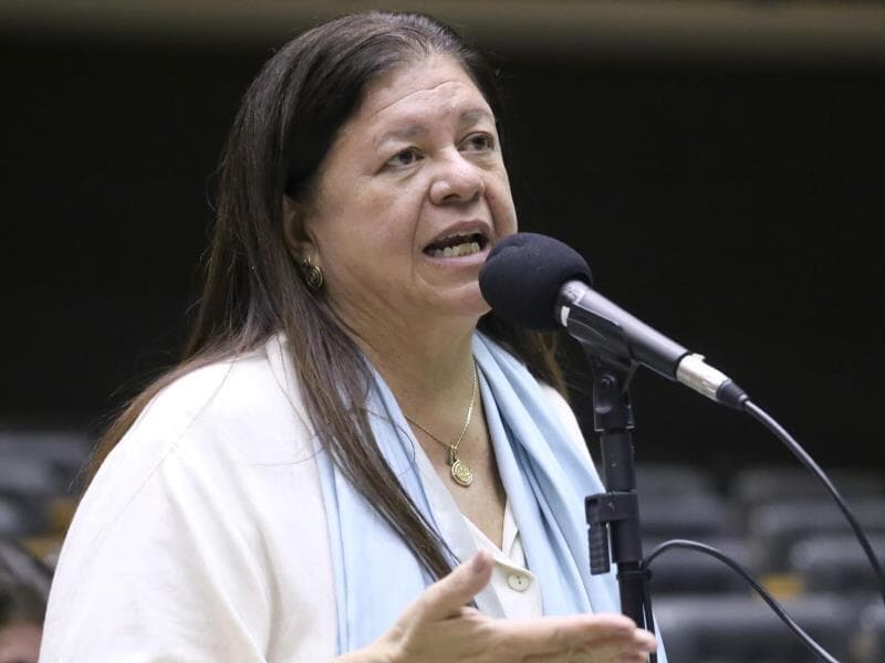 Dep. Laura Carneiro. - Kayo Magalhães/Câmara dos Deputados