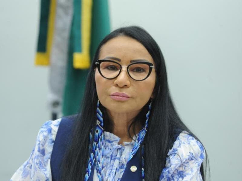 Silvia Waiãpi, deputada indígena bolsonarista, está entre os sete que perderam o mandato por causa das sobras eleitorais. - Renato Araujo/Agência Câmara