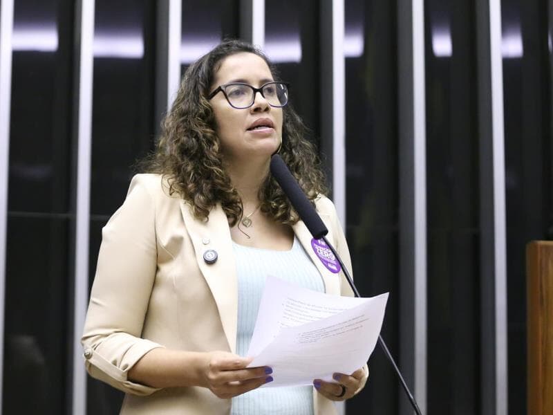 Objetivo, segundo Denise Pessôa é interromper o ciclo da violência com respostas públicas integradas. - Kayo Magalhães/Câmara dos Deputados