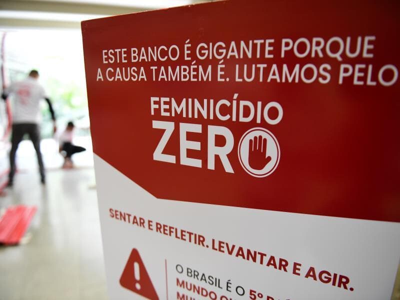 O Instituto do Banco Vermelho foi criado por Andrea Rodrigues e Paula Limongi. - Saulo Cruz/Agência Senado