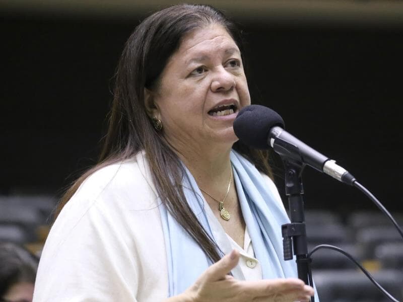 Deputada Laura Carneiro. - Kayo Magalhães/Câmara dos Deputados