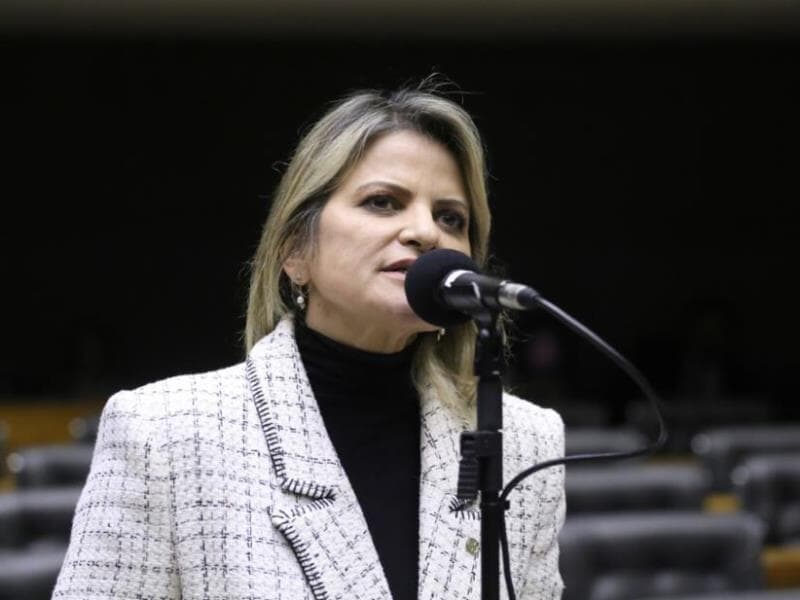 Diagnóstico precoce e apoio psicossocial a cuidadores também foram discutidos na subcomissão anterior. - Kayo Magalhães/Câmara dos Deputados