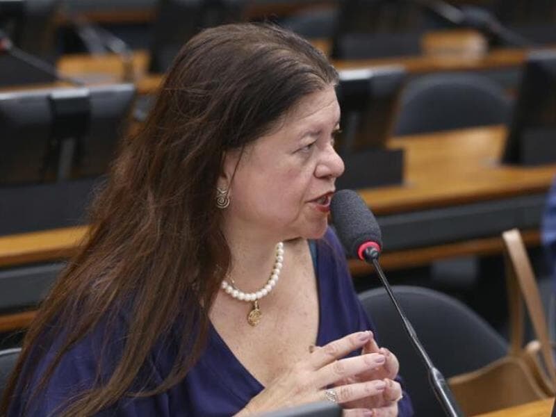 Laura Carneiro, relatora do projeto, classificou como urgente a necessidade de o Congresso tratar do assunto. - Vinicius Loures/Agência Câmara