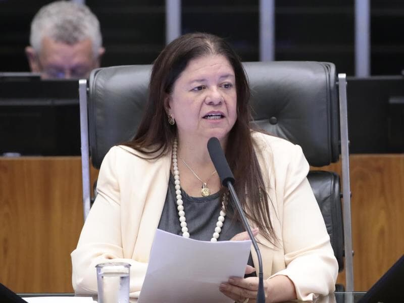 Proposta é de autoria de Laura Carneiro. Deputada ressalta que os primeiros anos são decisivos para a formação integral das crianças. - Bruno Spada / Câmara dos Deputados