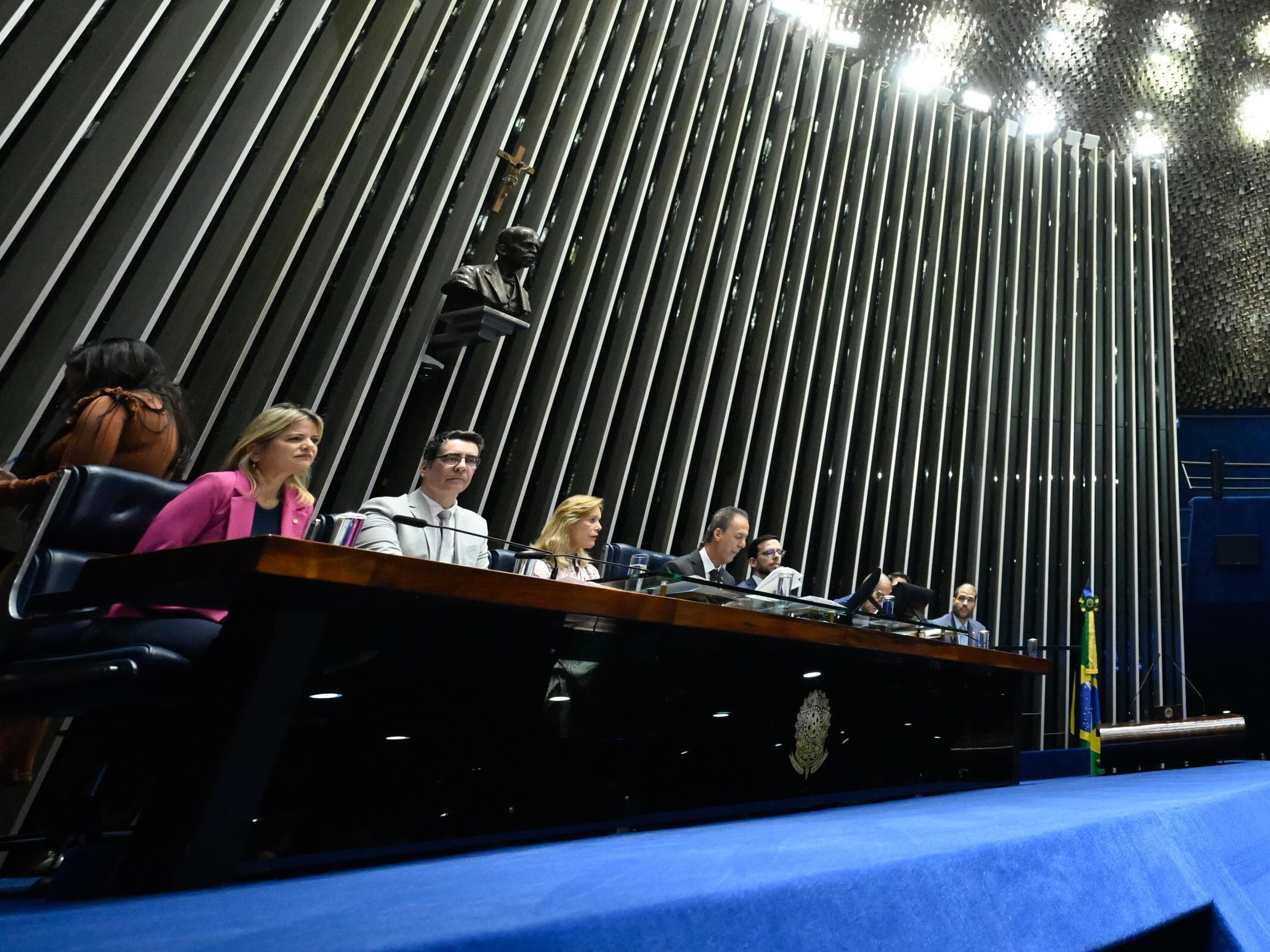 Debate é fruto de requerimento de Leila Barros e 28 parlamentares. - Andressa Anholete/Agência Senado