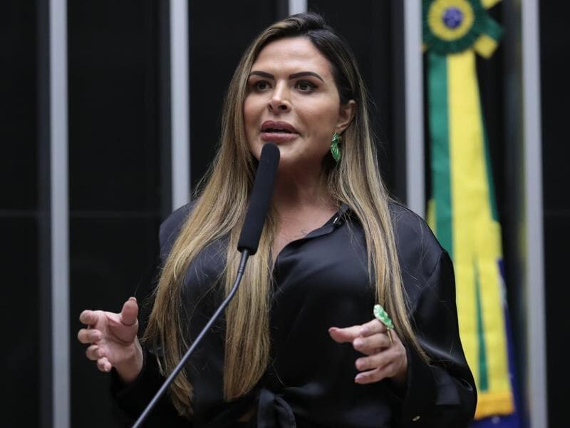 Deputada Silvye Alves propôs o debate. - Vinicius Loures/Câmara dos Deputados