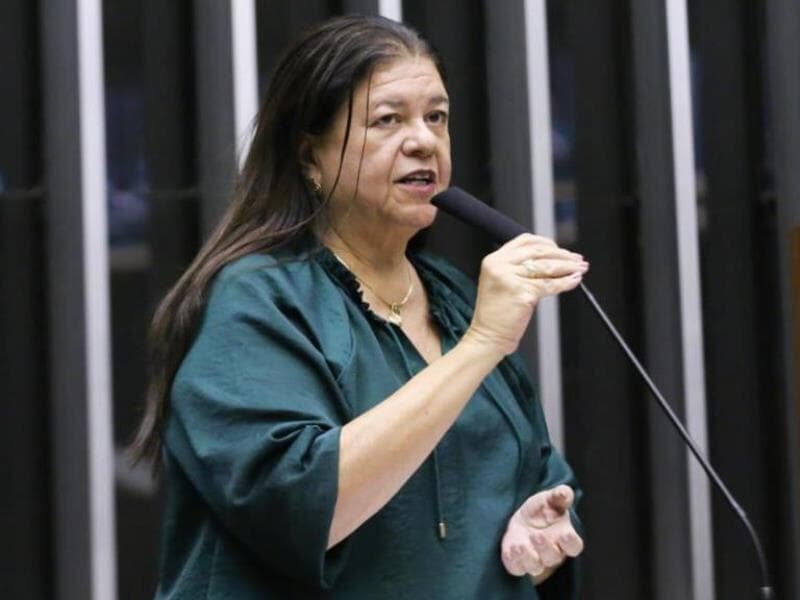 Dep. Laura Carneiro (PSD - RJ) - Kayo Magalhães/Câmara dos Deputados