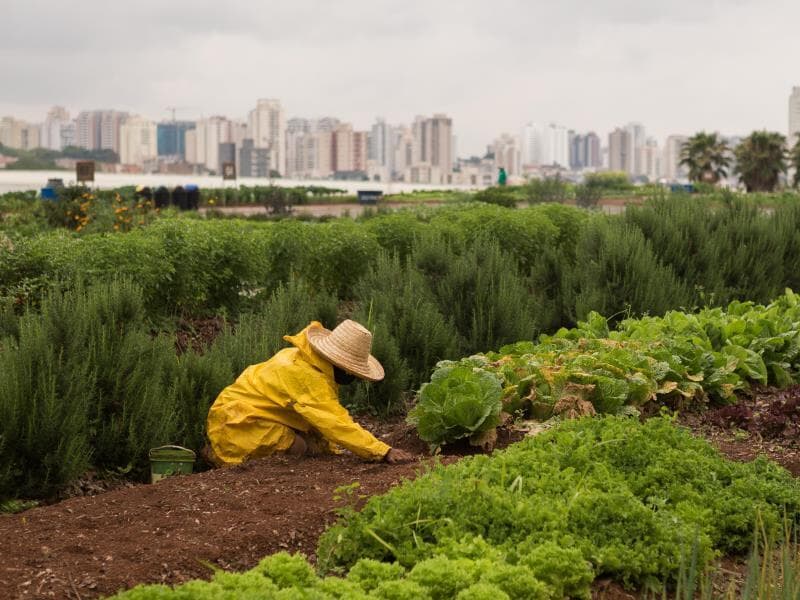 Famílias de baixa renda podem ganhar acesso a terrenos da União para cultivo de alimentos. - Ronny Santos/Folhapress