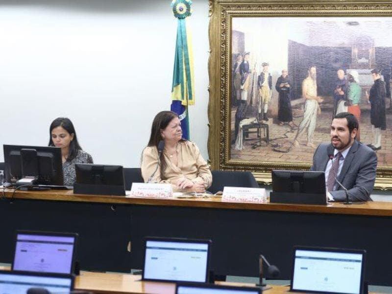 Deputados apresentaram visões divergentes sobre mecanismo de proteção infantil. - Vinicius Loures/Câmara dos Deputados 