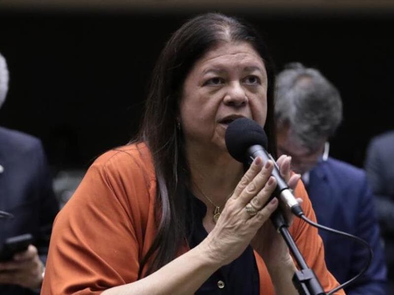 Relatora Dep. Laura Carneiro (PSD-RJ) - Kayo Magalhães/Câmara dos Deputado