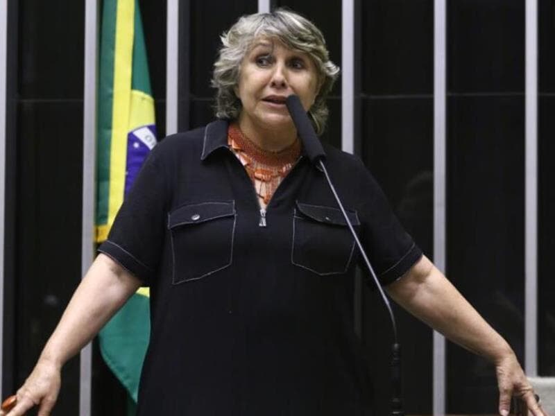 Dep. Erika Kokay (PT-DF). - Vinicius Loures/Câmara dos Deputados